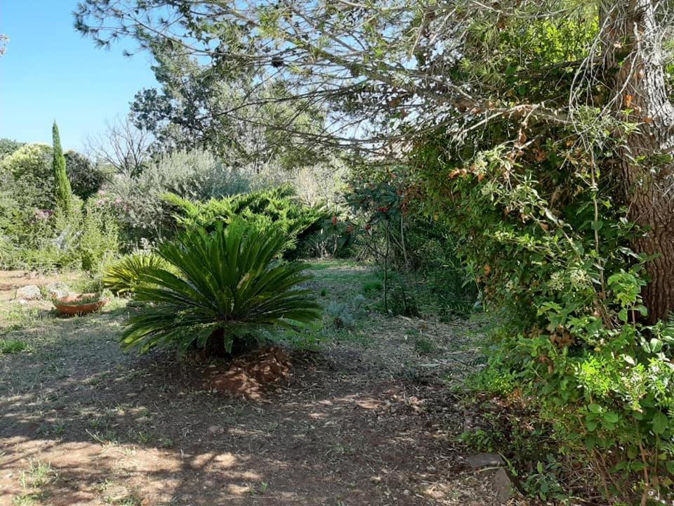 Mas Provencal Au Cannet Des Maures Le Cannet-des-Maures Exteriér fotografie