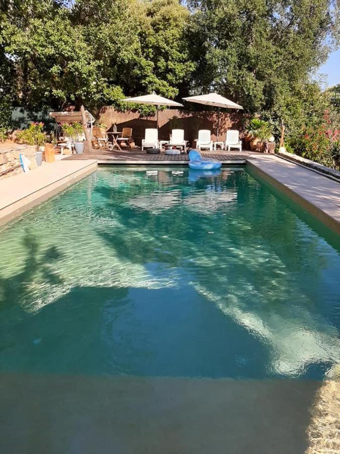 Mas Provencal Au Cannet Des Maures Le Cannet-des-Maures Exteriér fotografie